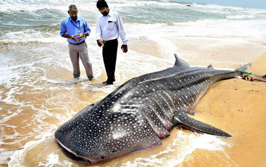 Fisheries College Mangalore